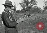 Standbild apple Pfropfen Techniken United States USA, 1916, aus Sekunde 50 historischem Filmmaterial Videoclip 65675030538