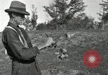 Standbild apple Pfropfen Techniken United States USA, 1916, aus Sekunde 51 historischem Filmmaterial Videoclip 65675030538