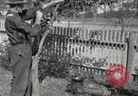 Standbild apple Pfropfen Techniken United States USA, 1916, aus Sekunde 52 historischem Filmmaterial Videoclip 65675030538