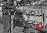 Standbild apple Pfropfen Techniken United States USA, 1916, aus Sekunde 53 historischem Filmmaterial Videoclip 65675030538