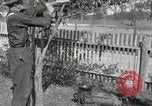 Standbild apple Pfropfen Techniken United States USA, 1916, aus Sekunde 54 historischem Filmmaterial Videoclip 65675030538