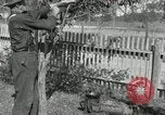 Standbild apple Pfropfen Techniken United States USA, 1916, aus Sekunde 55 historischem Filmmaterial Videoclip 65675030538