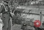 Standbild apple Pfropfen Techniken United States USA, 1916, aus Sekunde 58 historischem Filmmaterial Videoclip 65675030538