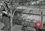 Standbild apple Pfropfen Techniken United States USA, 1916, aus Sekunde 59 historischem Filmmaterial Videoclip 65675030538