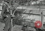 Standbild apple Pfropfen Techniken United States USA, 1916, aus Sekunde 60 historischem Filmmaterial Videoclip 65675030538