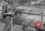 Standbild apple Pfropfen Techniken United States USA, 1916, aus Sekunde 61 historischem Filmmaterial Videoclip 65675030538