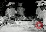 Image of apple pie manufacturing unit United States USA, 1916, second 15 stock footage video 65675030540
