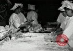 Image of apple pie manufacturing unit United States USA, 1916, second 16 stock footage video 65675030540