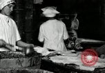 Image of apple pie manufacturing unit United States USA, 1916, second 32 stock footage video 65675030540