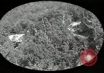 Immagine di Chimney Rock Park Chimney Rock North Carolina USA, 1924, secondo 12 filmato di repertorio 65675030548