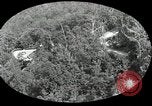 Immagine di Chimney Rock Park Chimney Rock North Carolina USA, 1924, secondo 13 filmato di repertorio 65675030548