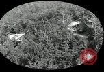 Immagine di Chimney Rock Park Chimney Rock North Carolina USA, 1924, secondo 15 filmato di repertorio 65675030548