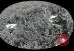 Immagine di Chimney Rock Park Chimney Rock North Carolina USA, 1924, secondo 16 filmato di repertorio 65675030548