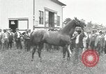 Standbild Man O War Kentucky United States USA, 1924, aus Sekunde 14 historischem Filmmaterial Videoclip 65675030549