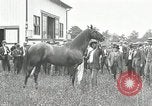 Standbild Man O War Kentucky United States USA, 1924, aus Sekunde 15 historischem Filmmaterial Videoclip 65675030549