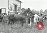 Standbild Man O War Kentucky United States USA, 1924, aus Sekunde 17 historischem Filmmaterial Videoclip 65675030549