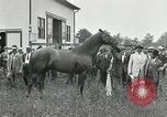 Standbild Man O War Kentucky United States USA, 1924, aus Sekunde 18 historischem Filmmaterial Videoclip 65675030549