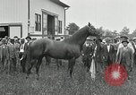 Standbild Man O War Kentucky United States USA, 1924, aus Sekunde 19 historischem Filmmaterial Videoclip 65675030549