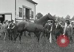 Standbild Man O War Kentucky United States USA, 1924, aus Sekunde 20 historischem Filmmaterial Videoclip 65675030549