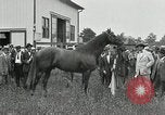 Standbild Man O War Kentucky United States USA, 1924, aus Sekunde 22 historischem Filmmaterial Videoclip 65675030549