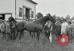 Standbild Man O War Kentucky United States USA, 1924, aus Sekunde 23 historischem Filmmaterial Videoclip 65675030549