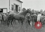 Standbild Man O War Kentucky United States USA, 1924, aus Sekunde 24 historischem Filmmaterial Videoclip 65675030549