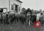 Standbild Man O War Kentucky United States USA, 1924, aus Sekunde 25 historischem Filmmaterial Videoclip 65675030549