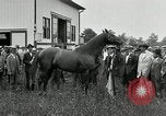 Standbild Man O War Kentucky United States USA, 1924, aus Sekunde 26 historischem Filmmaterial Videoclip 65675030549