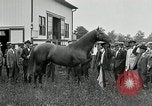 Standbild Man O War Kentucky United States USA, 1924, aus Sekunde 27 historischem Filmmaterial Videoclip 65675030549