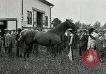 Standbild Man O War Kentucky United States USA, 1924, aus Sekunde 28 historischem Filmmaterial Videoclip 65675030549