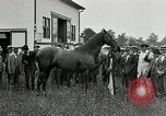 Standbild Man O War Kentucky United States USA, 1924, aus Sekunde 29 historischem Filmmaterial Videoclip 65675030549