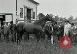 Standbild Man O War Kentucky United States USA, 1924, aus Sekunde 30 historischem Filmmaterial Videoclip 65675030549