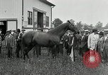 Standbild Man O War Kentucky United States USA, 1924, aus Sekunde 31 historischem Filmmaterial Videoclip 65675030549