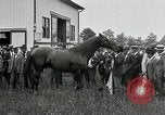 Standbild Man O War Kentucky United States USA, 1924, aus Sekunde 32 historischem Filmmaterial Videoclip 65675030549