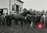 Standbild Man O War Kentucky United States USA, 1924, aus Sekunde 33 historischem Filmmaterial Videoclip 65675030549