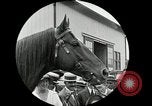 Standbild Man O War Kentucky United States USA, 1924, aus Sekunde 36 historischem Filmmaterial Videoclip 65675030549