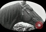 Standbild Man O War Kentucky United States USA, 1924, aus Sekunde 38 historischem Filmmaterial Videoclip 65675030549