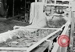 Standbild Goodyear Ferse herstellen Windsor Vermont USA, 1941, aus Sekunde 21 historischem Filmmaterial Videoclip 65675030565