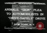 Image of Boy Scouts at Bronx Zoo New York United States USA, 1932, second 3 stock footage video 65675030578