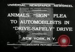 Image of Boy Scouts at Bronx Zoo New York United States USA, 1932, second 4 stock footage video 65675030578