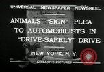 Image of Boy Scouts at Bronx Zoo New York United States USA, 1932, second 5 stock footage video 65675030578