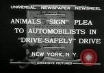 Image of Boy Scouts at Bronx Zoo New York United States USA, 1932, second 7 stock footage video 65675030578