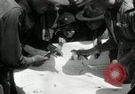 Image of Boy Scouts at Bronx Zoo New York United States USA, 1932, second 42 stock footage video 65675030578