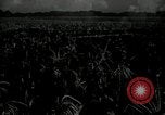 Image Ohio Agriculture et industrie Ohio United States USA, 1951, de la seconde 15 séquences d'archives historiques vidéo 65675030585