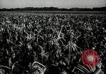 Image Ohio Agriculture et industrie Ohio United States USA, 1951, de la seconde 16 séquences d'archives historiques vidéo 65675030585