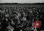 Image Ohio Agriculture et industrie Ohio United States USA, 1951, de la seconde 18 séquences d'archives historiques vidéo 65675030585
