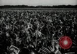 Image Ohio Agriculture et industrie Ohio United States USA, 1951, de la seconde 19 séquences d'archives historiques vidéo 65675030585