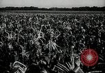 Image Ohio Agriculture et industrie Ohio United States USA, 1951, de la seconde 20 séquences d'archives historiques vidéo 65675030585