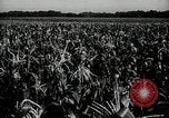 Image Ohio Agriculture et industrie Ohio United States USA, 1951, de la seconde 21 séquences d'archives historiques vidéo 65675030585