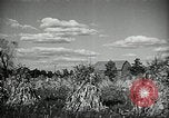 Image Ohio Agriculture et industrie Ohio United States USA, 1951, de la seconde 32 séquences d'archives historiques vidéo 65675030585